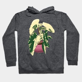 Variegated Plant Hoodie